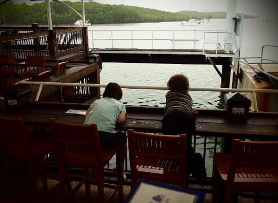 Feeding george the groper 5