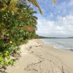 Planning a Trip to Port Douglas Port Douglas Australia planning a trip