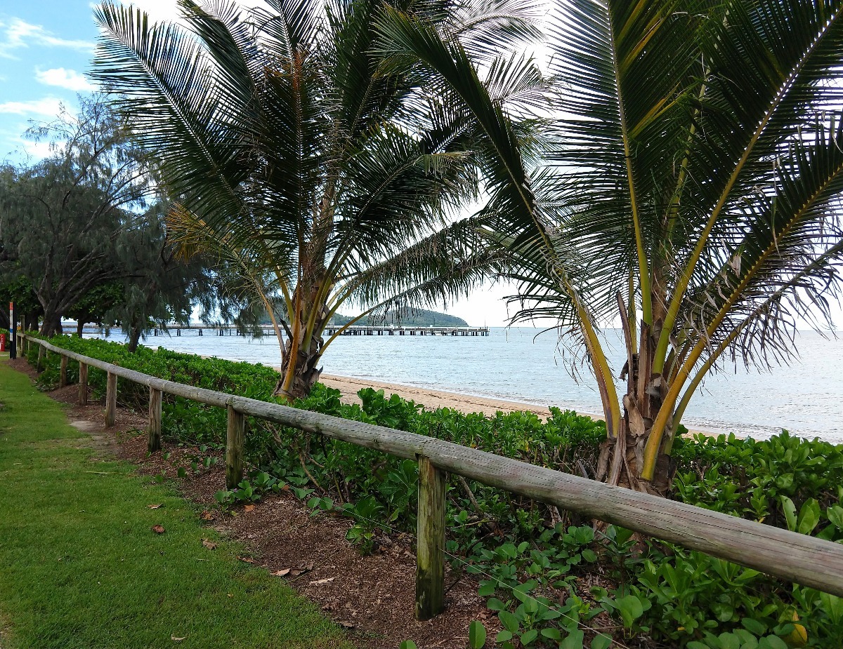Palm Cove Beach