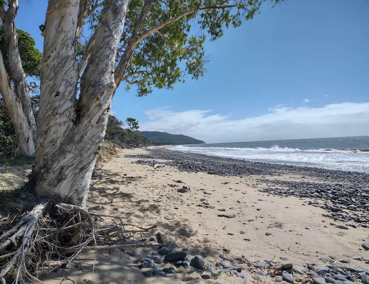 Wangetti Beach photo