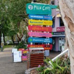 palm cove to port douglas road