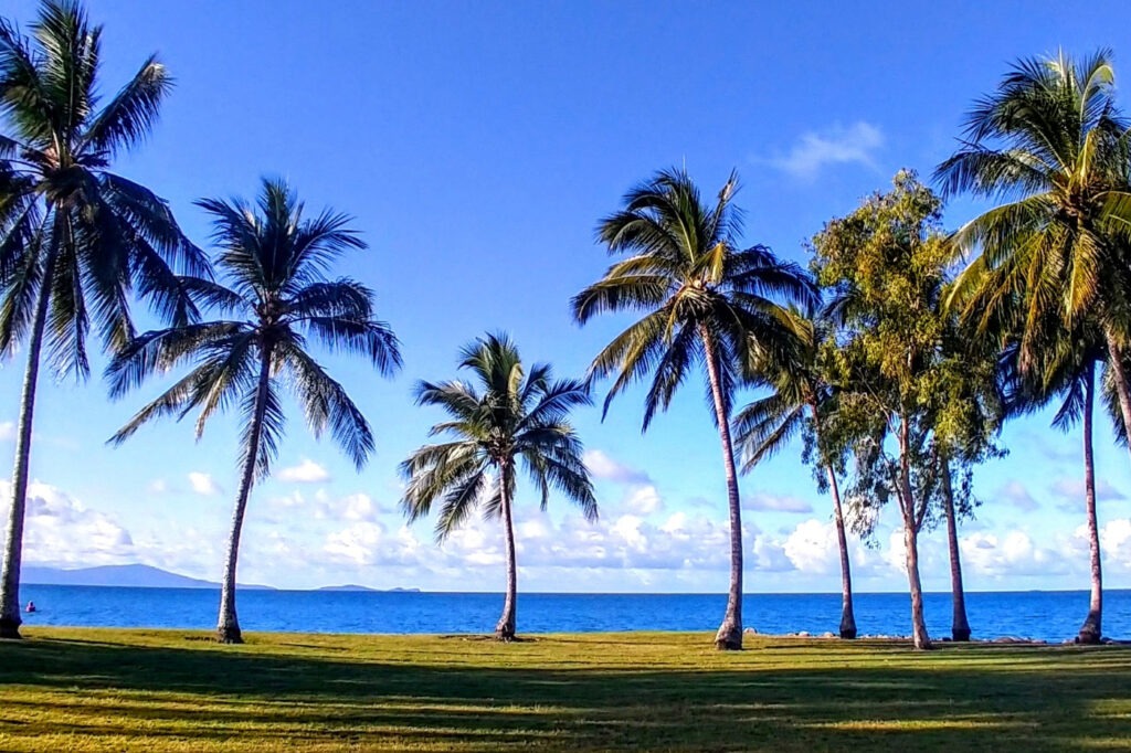 Port Douglas on a budget