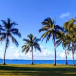 Port Douglas on a budget