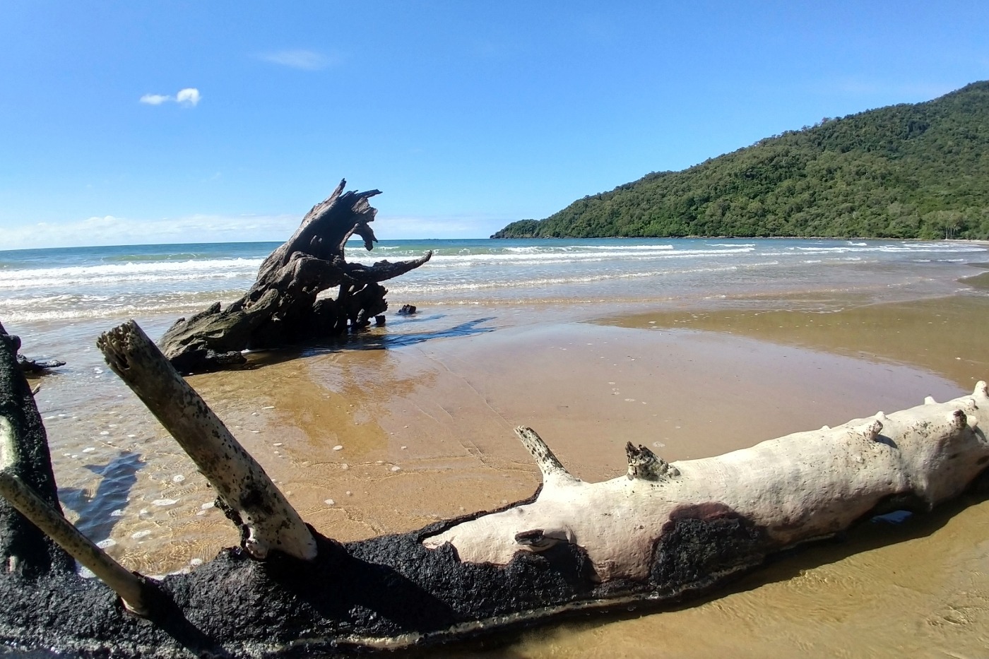 cape tribulation beaches