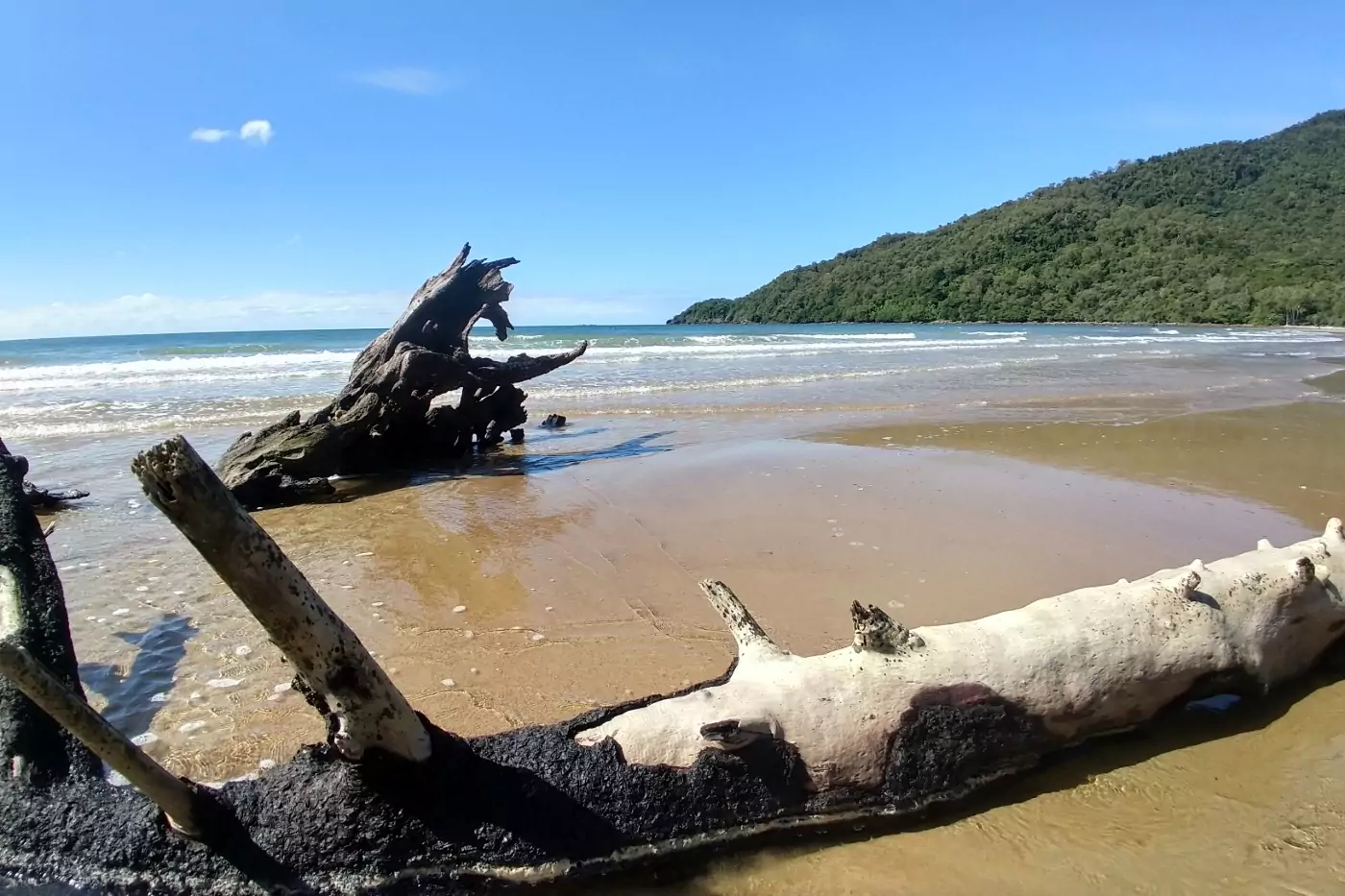 cape tribulation beaches