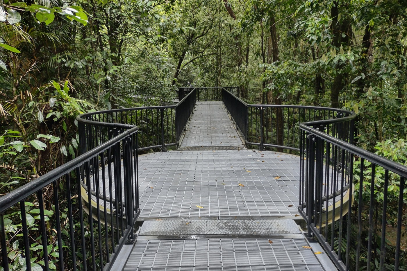 Mossman Gorge Daintree