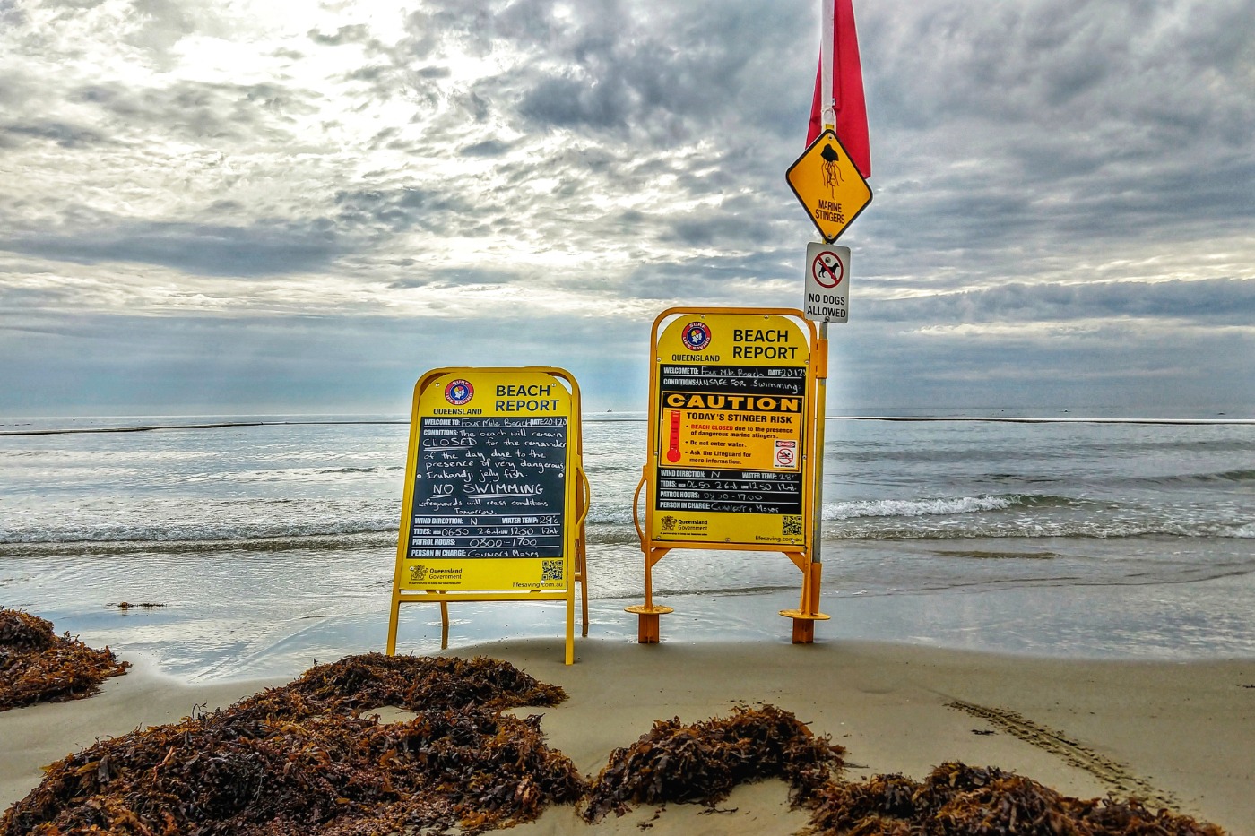 port douglas beach closed
