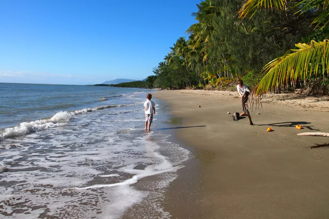 tropical beach australia port douglas
