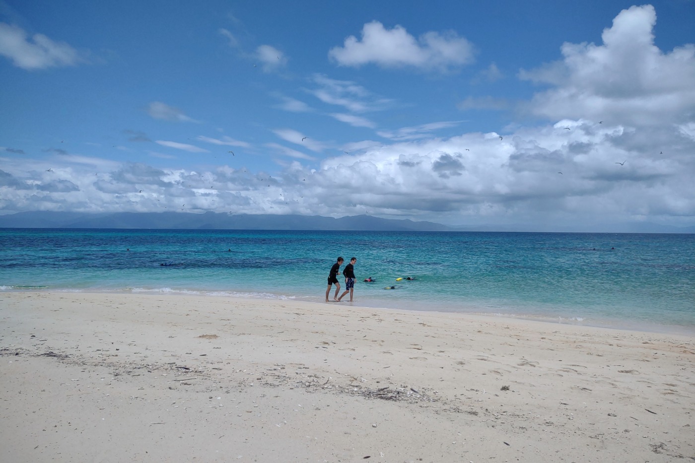 Best times to visit Port Douglas February