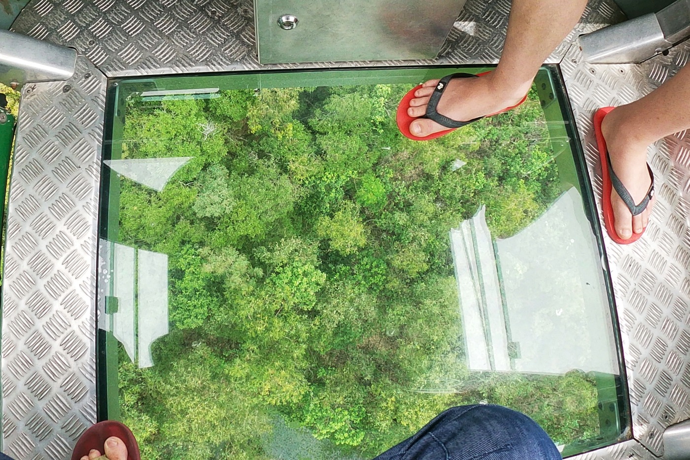 Kuranda Day Trip From POrt Douglas Skyrail