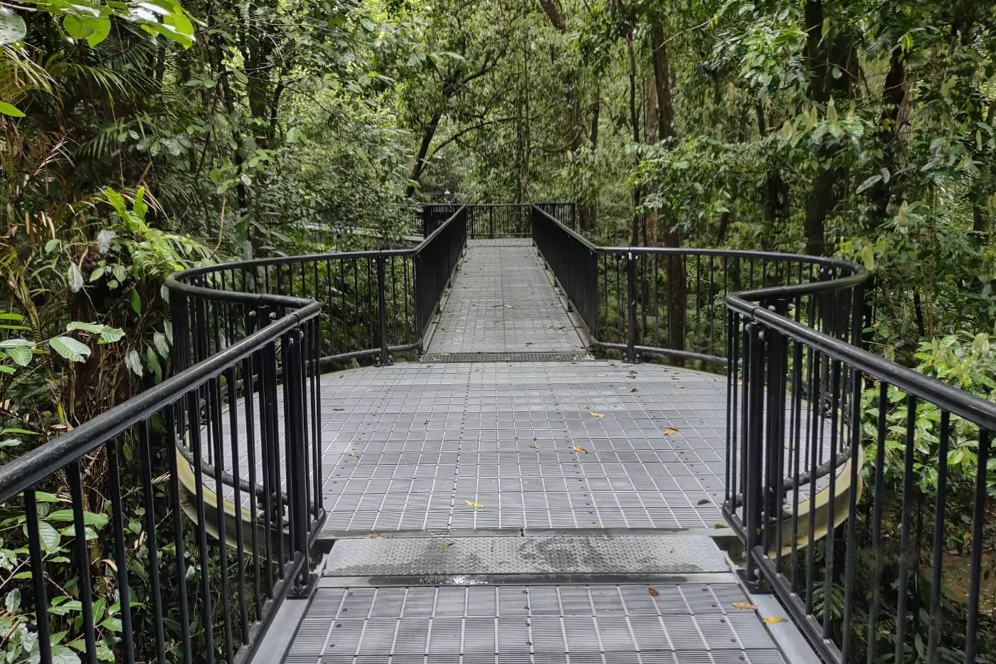 Port Douglas Walks Mossman Gorge walking track