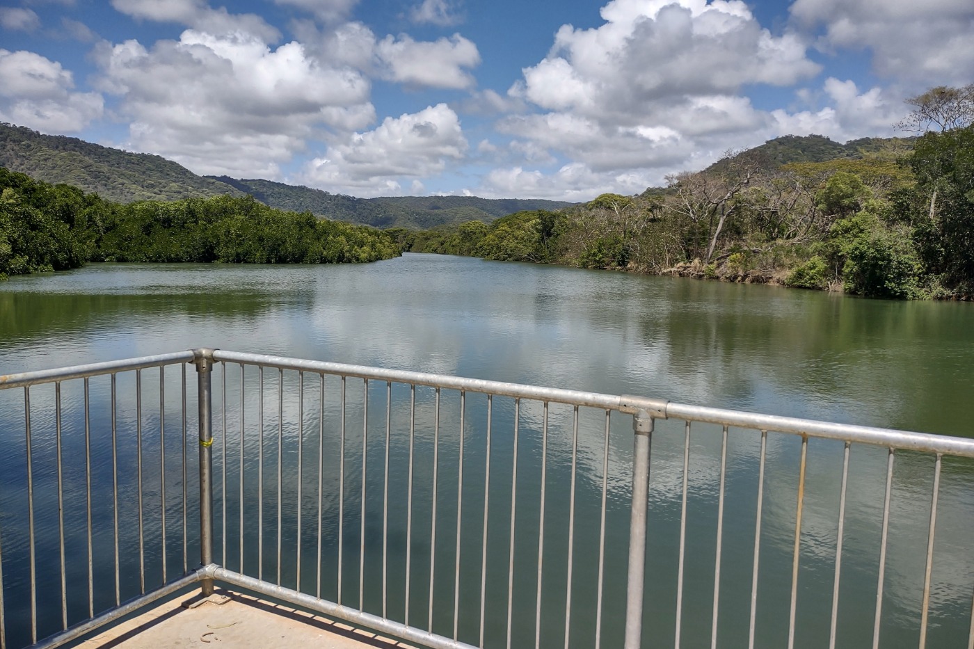 Port Douglas Crocodile viewing point