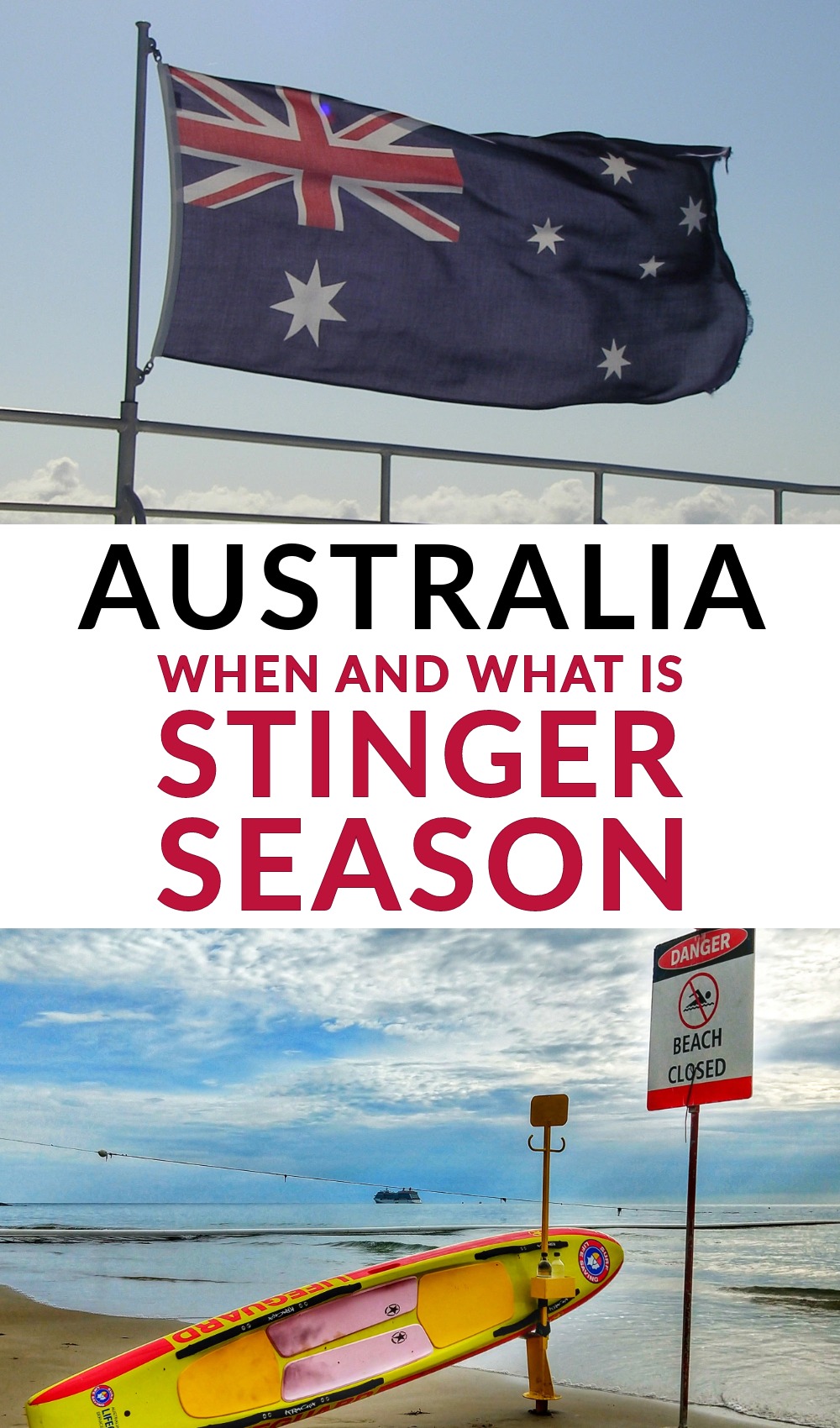 stinger season for Pinterest