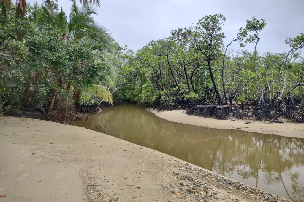 Cow Bay creek