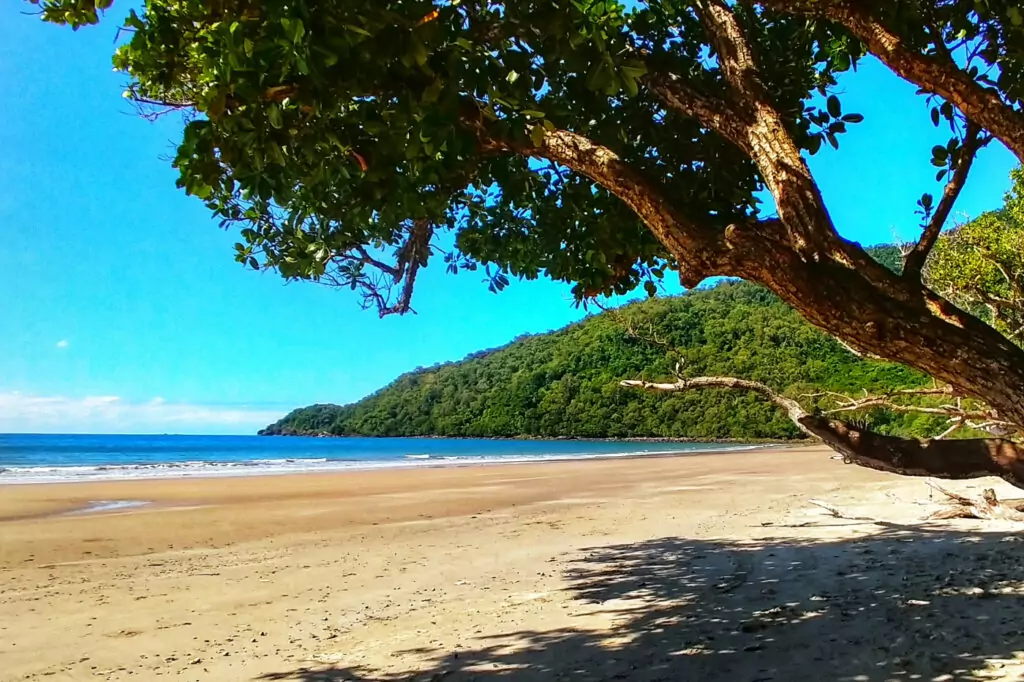 cow bay beach entry