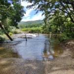 The Shannonvale Swimming Hole