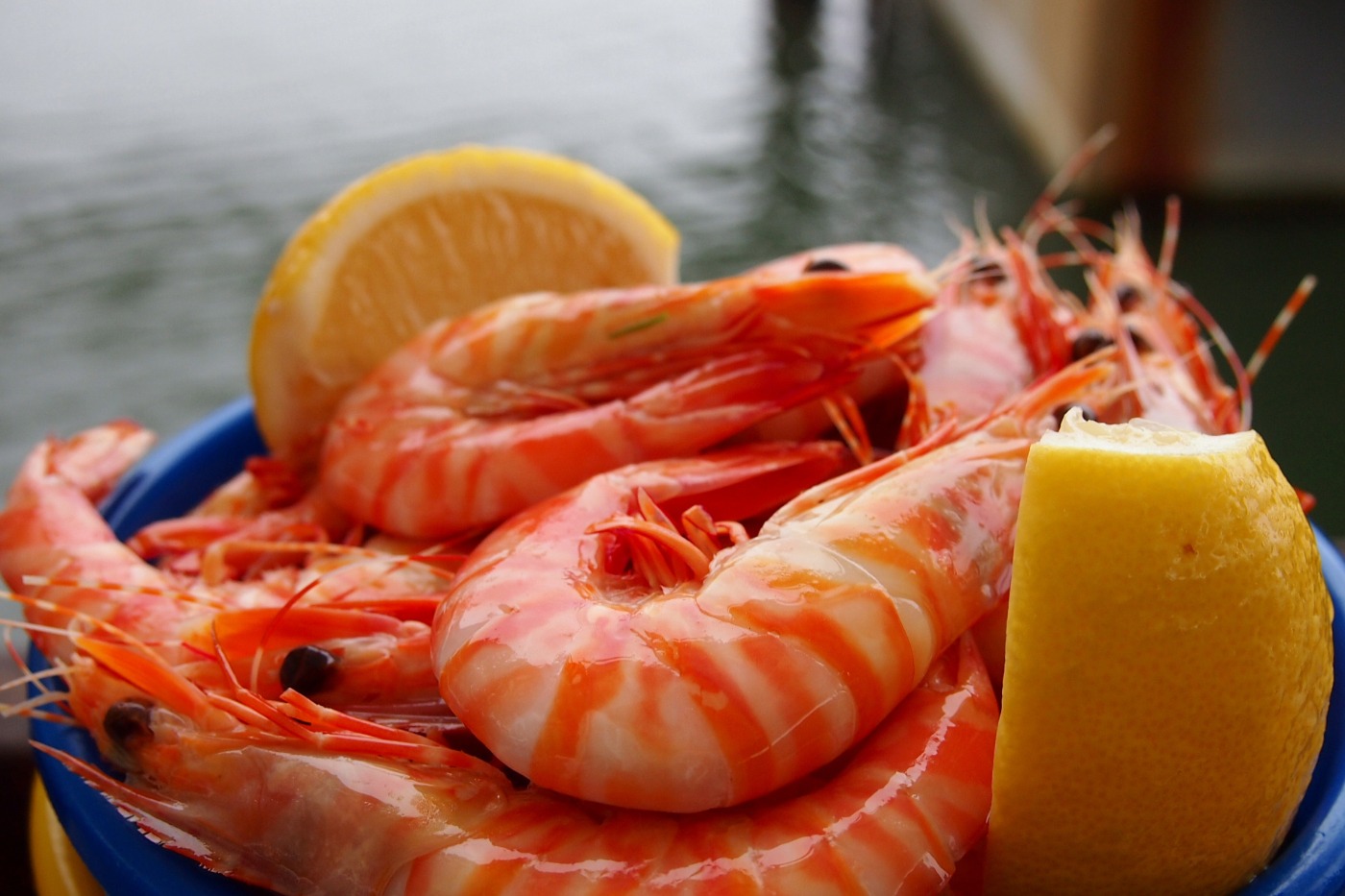 Bucket of Prawns On the Inlet