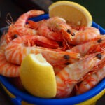 A bucket of prawns Port Douglas