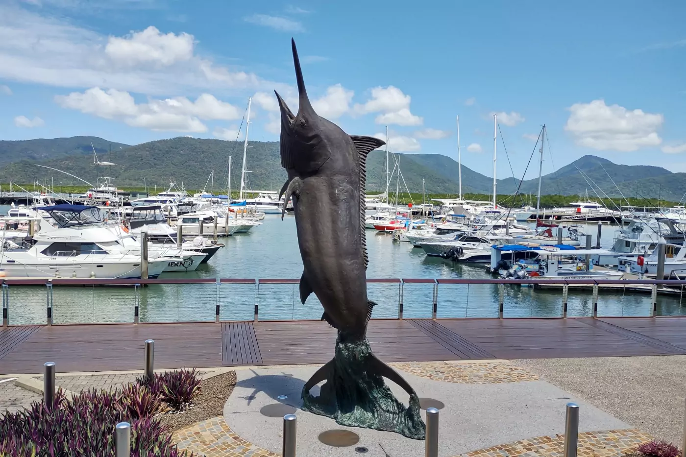 Marina in Cairns Australia