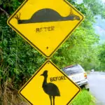 Do you need a car for a port douglas vacation