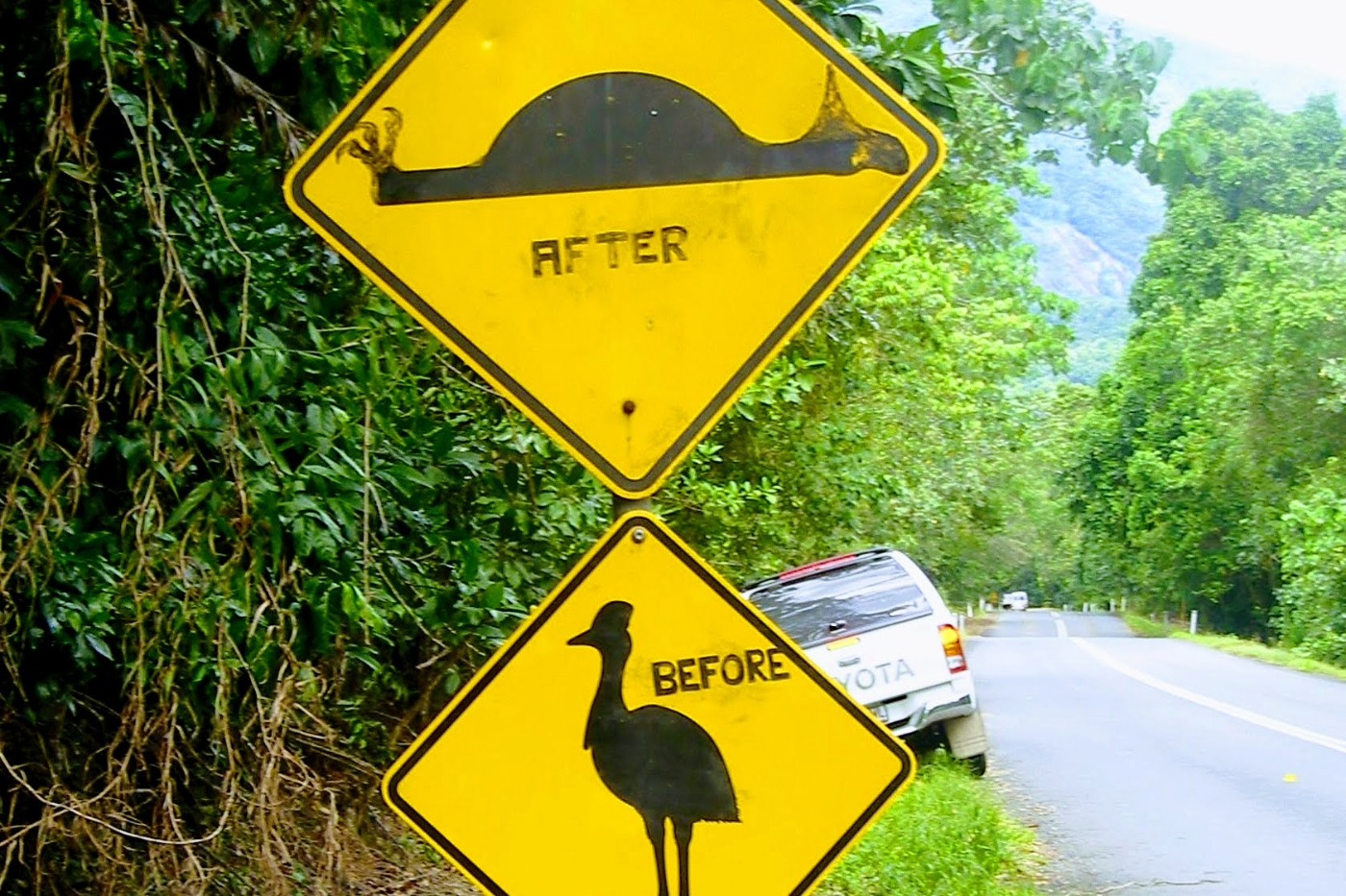 Do you need a car for a port douglas vacation