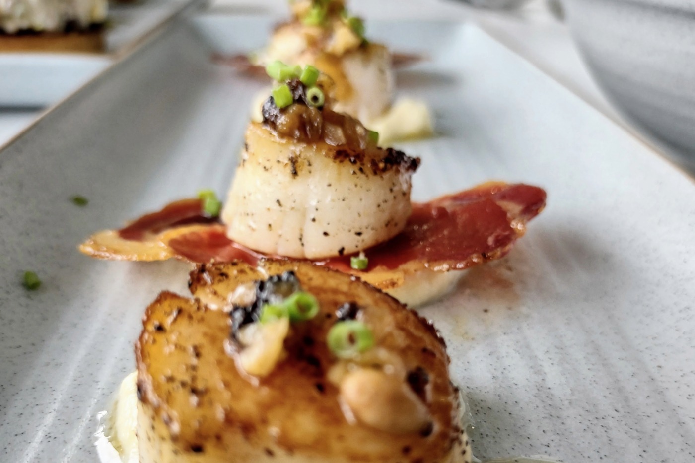 Port Douglas seafood Wrasse and Roe scallops