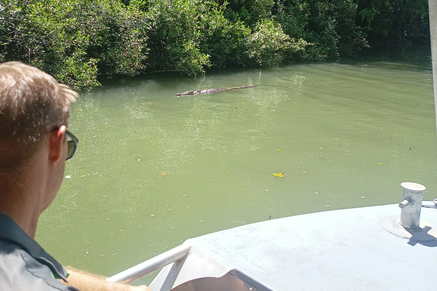 River Cruise From Port Douglas