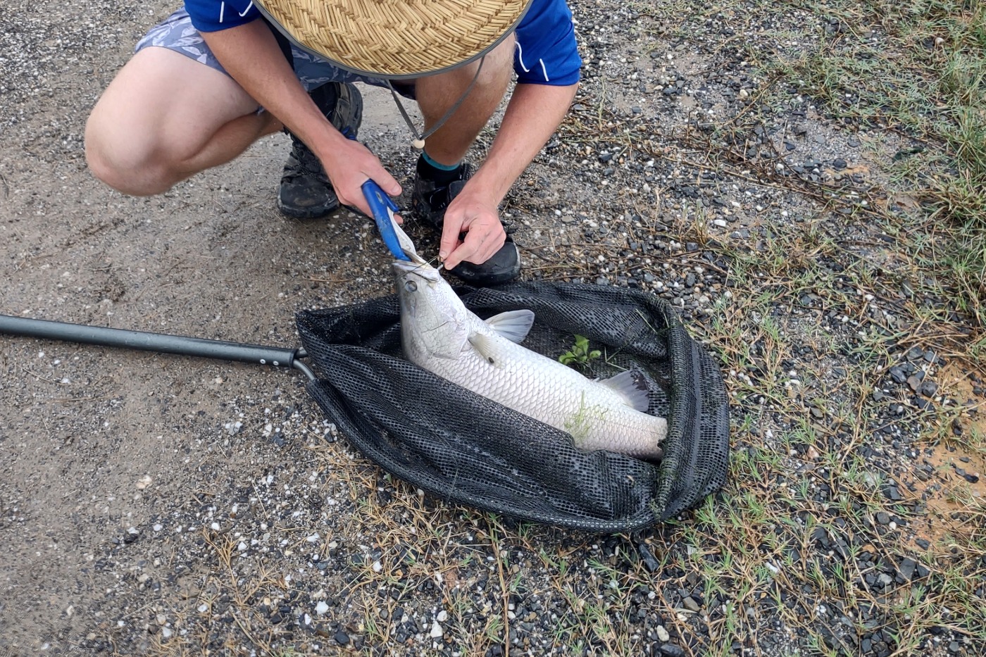 hook a barra barramundi farm near port douglas