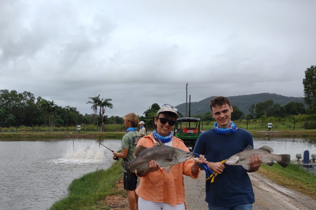 Catching fish at hook a barra barramundi farm