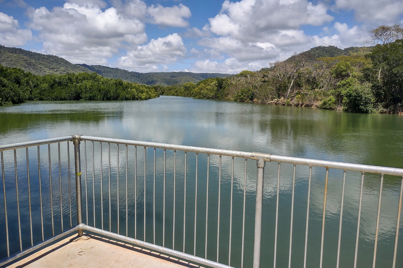 Mowbray river crocodile viewing
