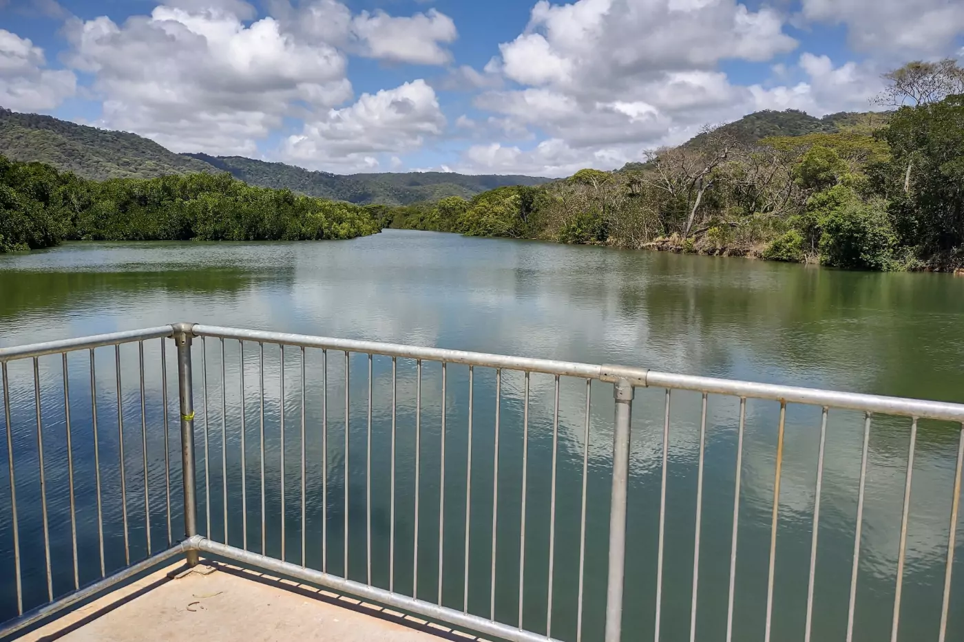 Mowbray river crocodile viewing