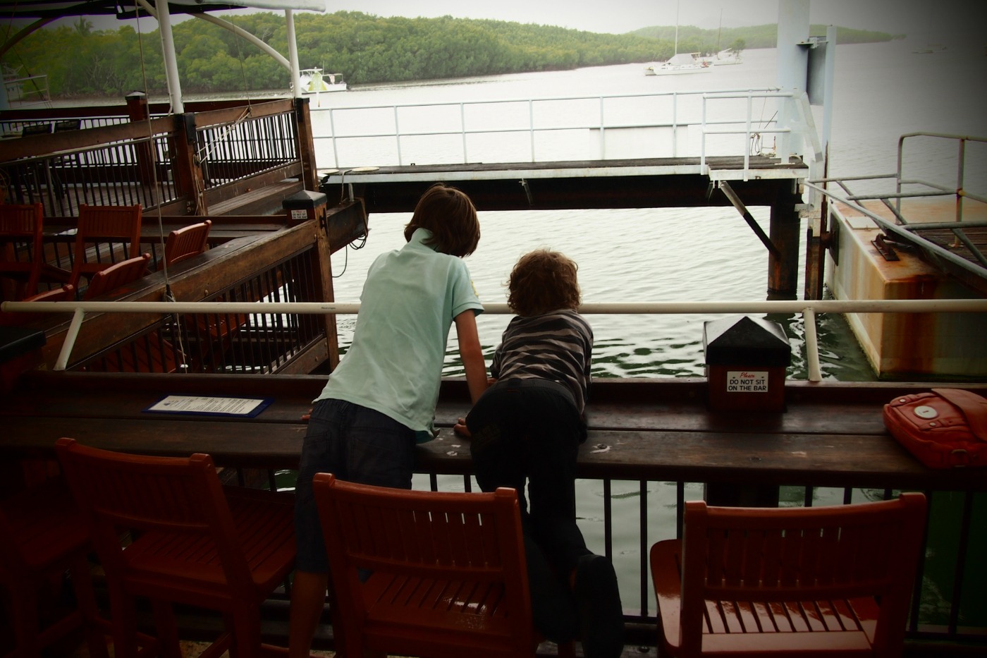 On the inlet groper feeding venue