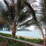Port Douglas Vs Palm Cove Palm cove beach qld