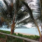 Palm cove beach qld