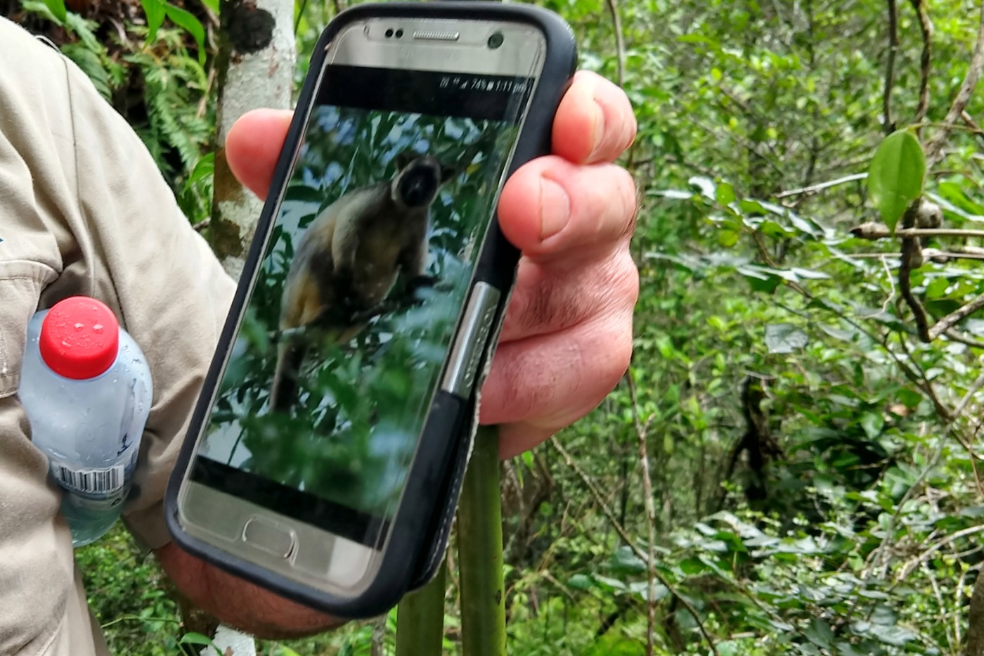 wifi and phone coverage Port Douglas Australia