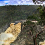 New Tours in Port Douglas and Cairns Barron River Falls tour