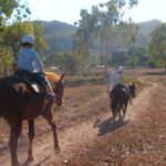 Horse Riding Near Cairns and Port Douglas kids riding horses