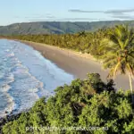 View of Port Douglas beach palm trees and green forest