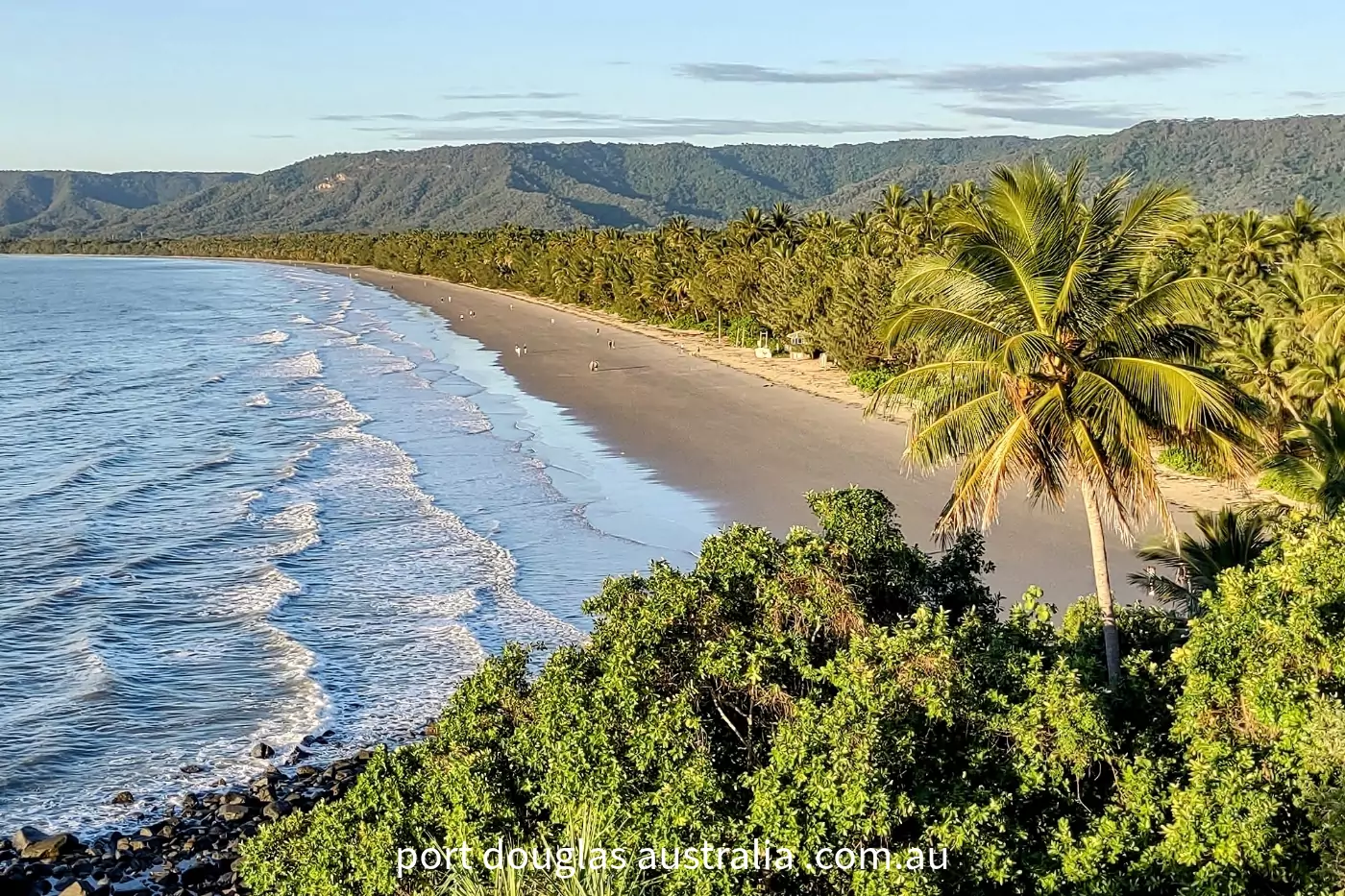 View of Port Douglas beach palm trees and green forest