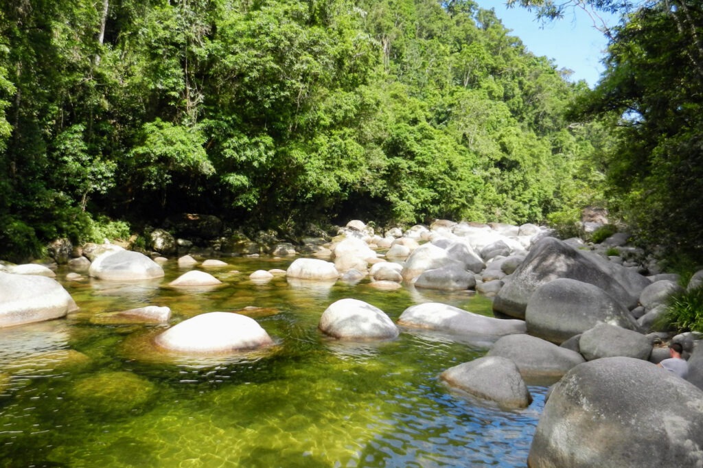 Mossman Gorge view boulders, a rainforest stream, clear waters.