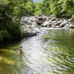 Mossman Gorge