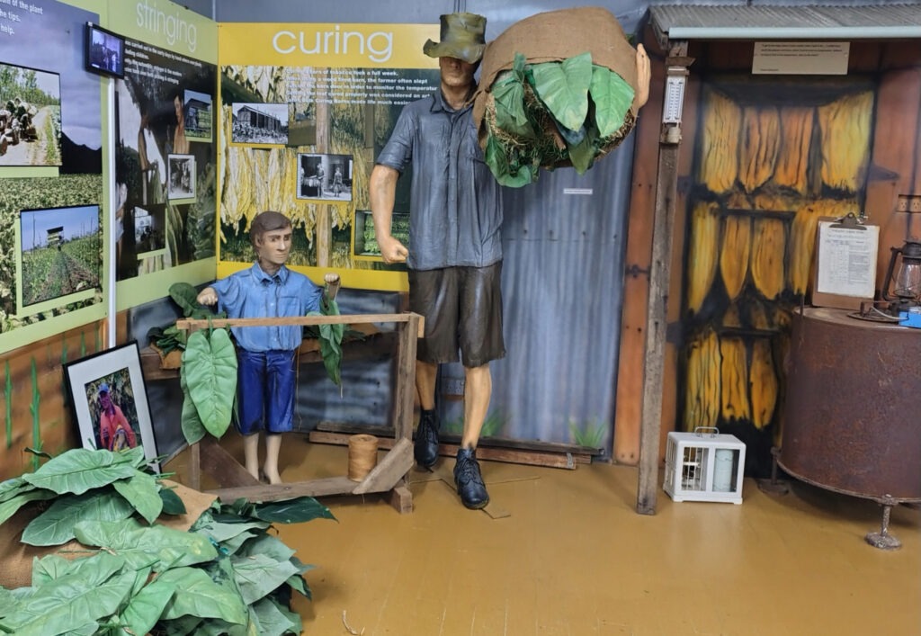 Tobacco museum Australia Mareeba
