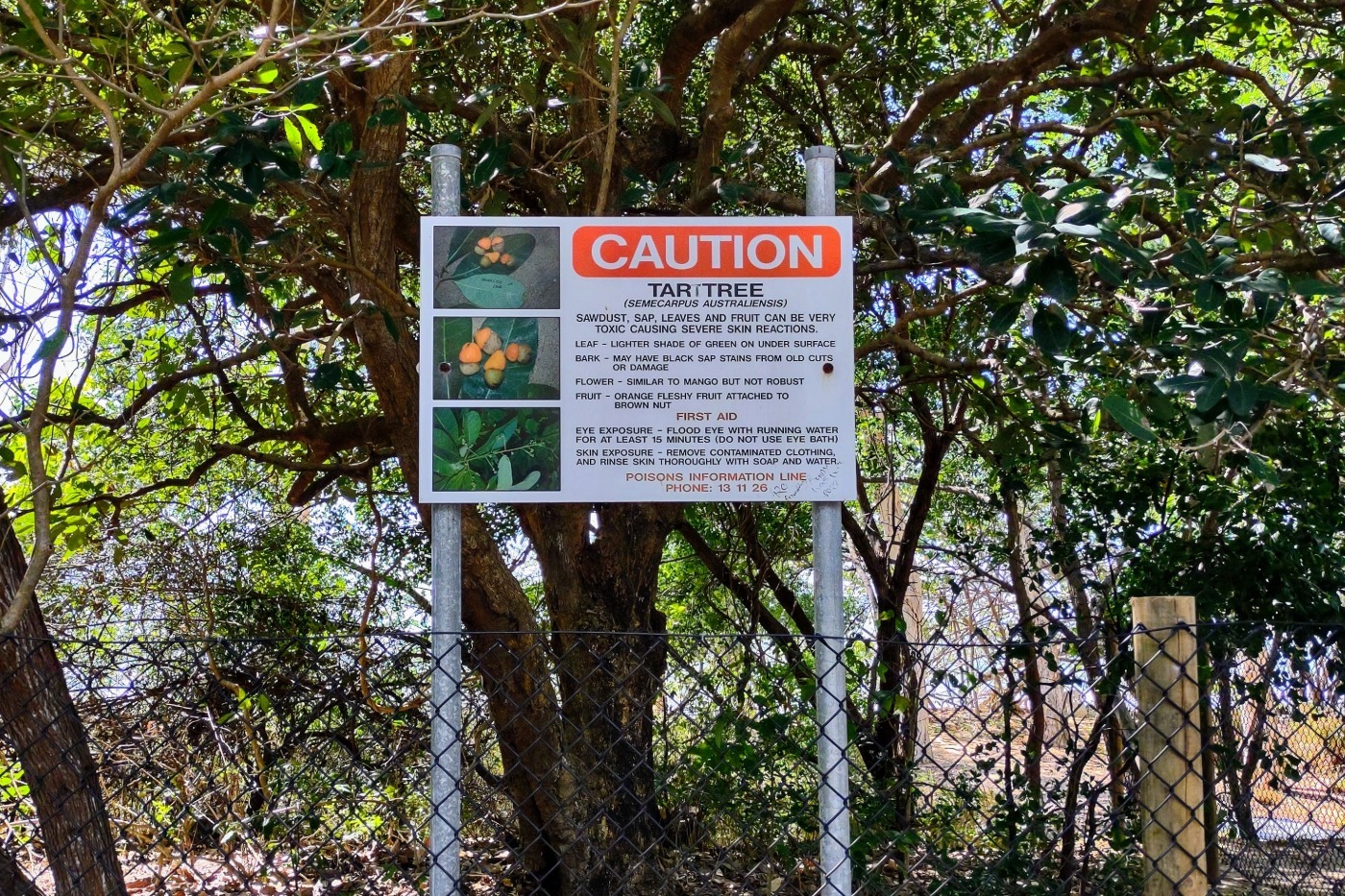 Cairns Australia. 15 Mistakes Not To Make in Planning or Visiting ...