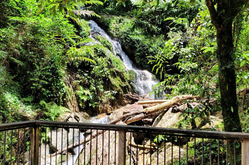 Waterfall near Daintree Village