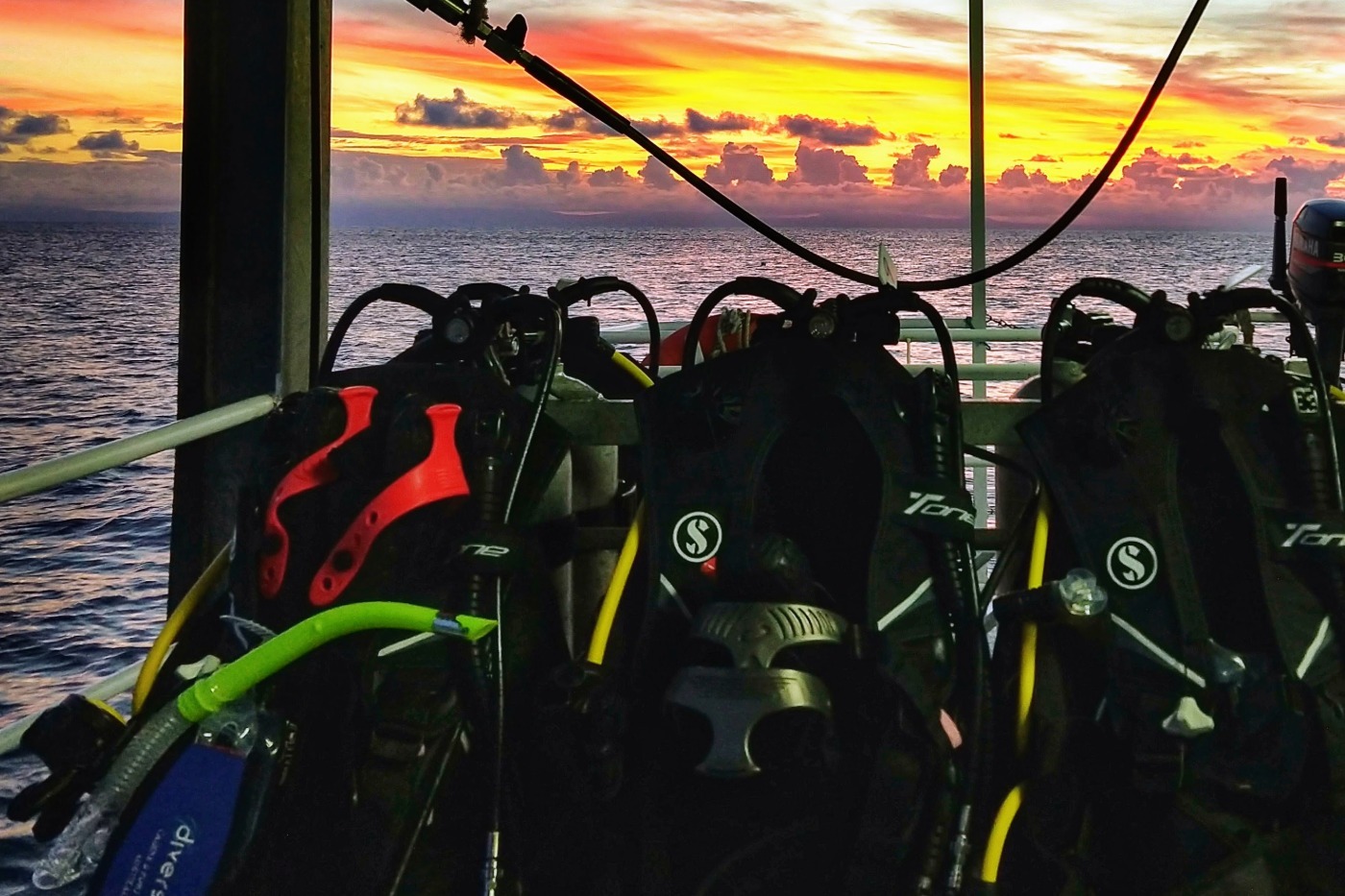 Cairns liveaboard dive trips