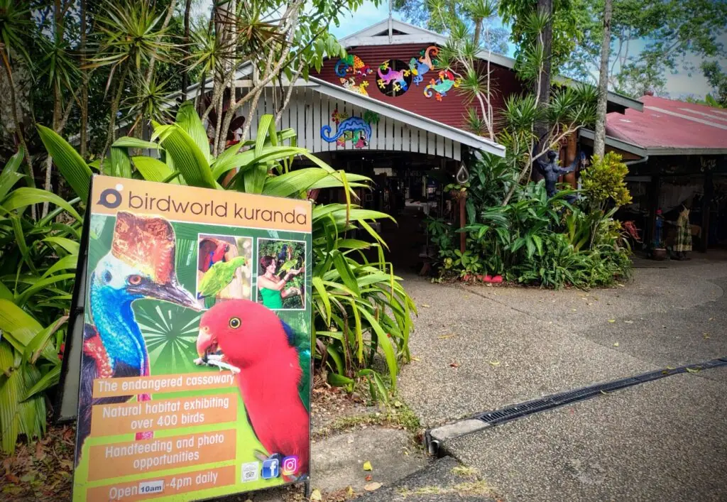 cairns to kuranda