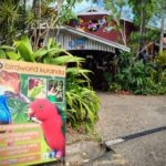 Cairns To Kuranda - Best Ways To Visit cairns to kuranda