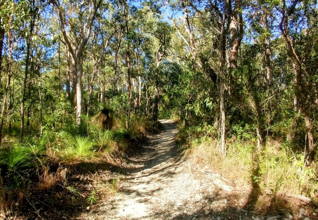 Walking trail Hartley's Creek