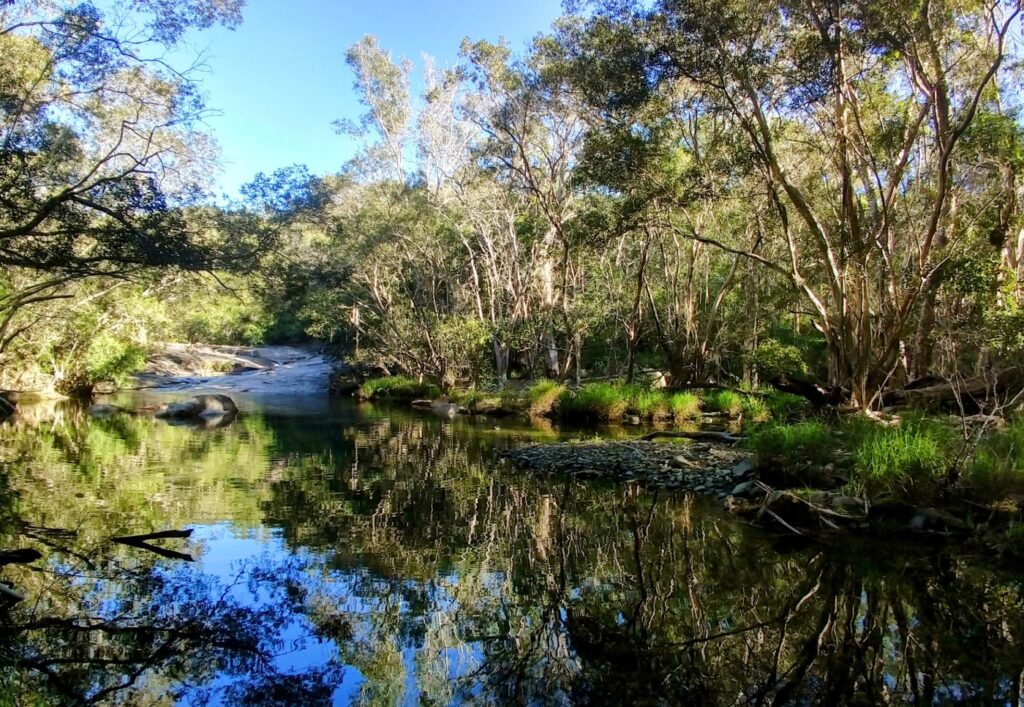 Hartley's Creek swimming Hole