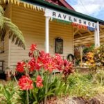 Ravenshoe - Why You Should Visit Ravenshoe